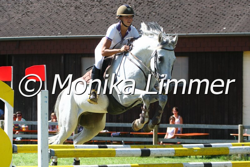 109M7323_Cool Cad_Spring L.JPG